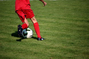 开云体育官网登入-NBA球员技术动作进阶训练，nba球员训练方式